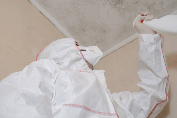 Best Emergency Mold Removal  in Whitehorn Cove, OK